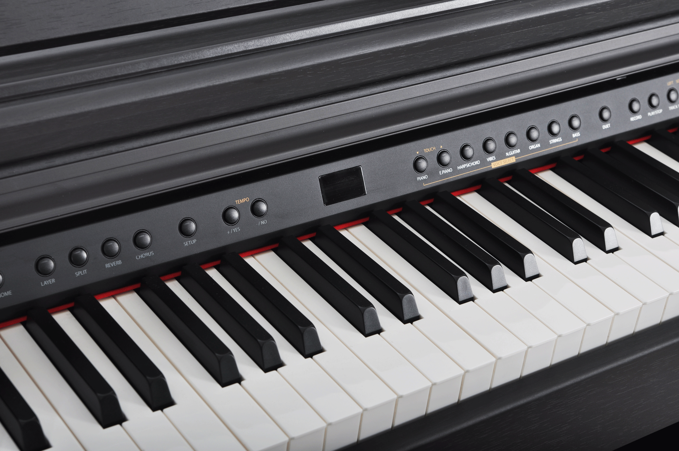 Artesia DP-3 Цифровое фортепиано. Цвет Палисандр. купить в prostore.me