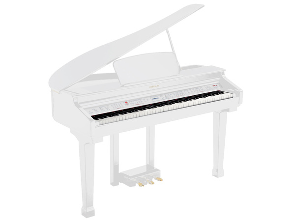 Orla Grand-120-WHITE Цифровой рояль, с автоаккомпанементом, белый. купить в prostore.me