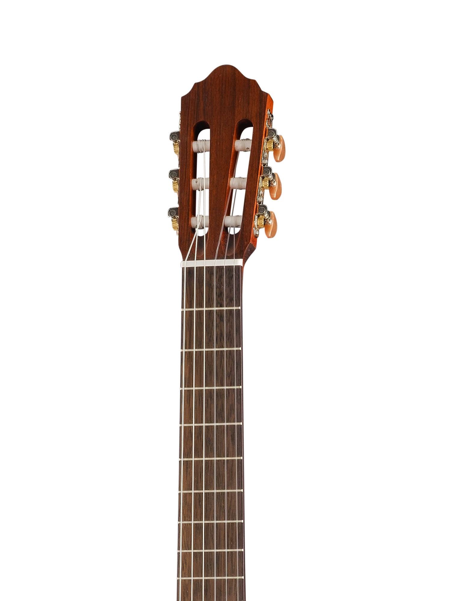 Cort AC200-NAT Classic Series Классическая гитара, массив ели, глянцевая купить в prostore.me