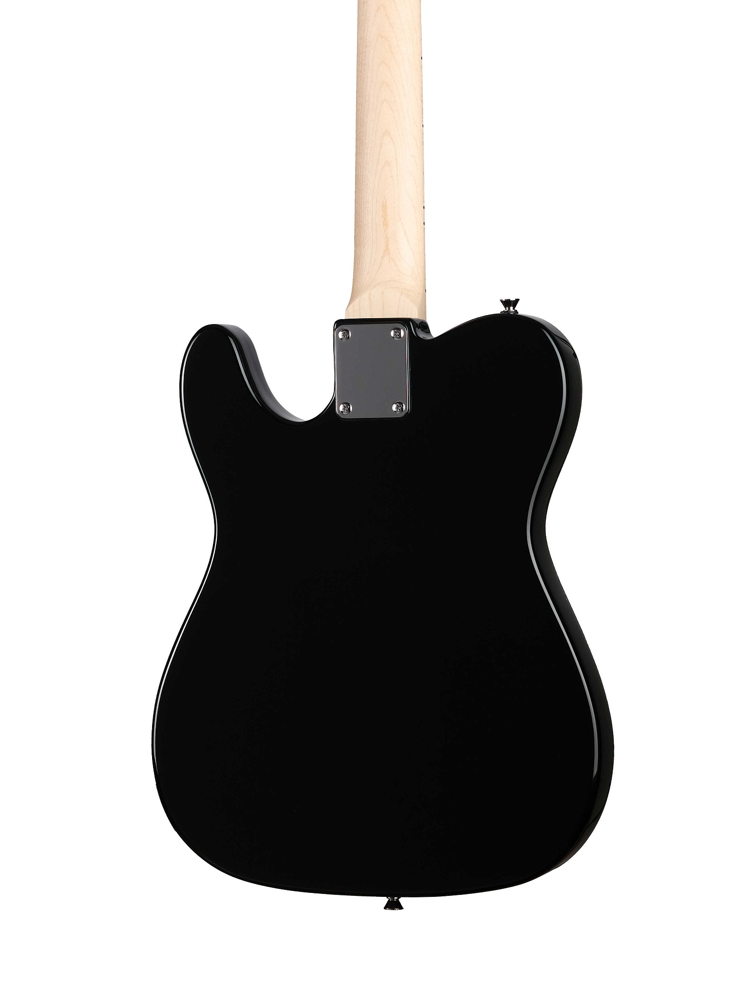 HEG350BK Электрогитара Telecaster SS Homage купить в prostore.me