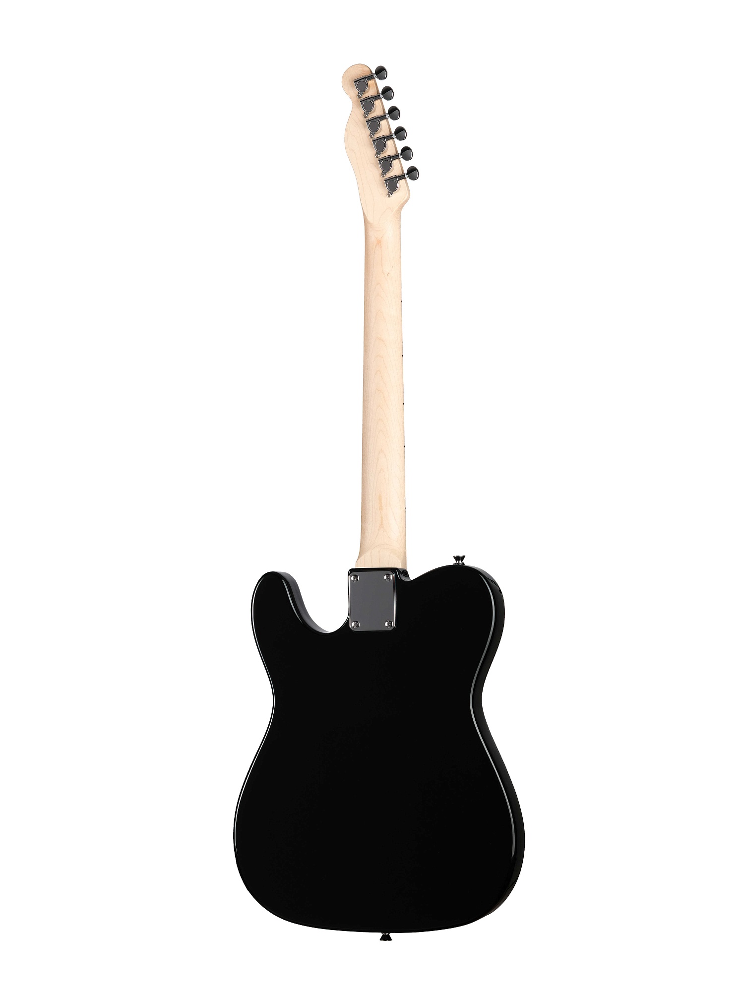 HEG350BK Электрогитара Telecaster SS Homage купить в prostore.me