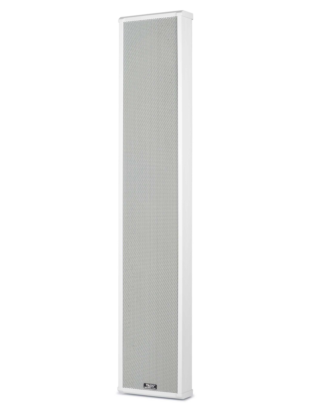 картинка DS-100F Акустическая система, 100Вт, TADS от магазина prostore.me