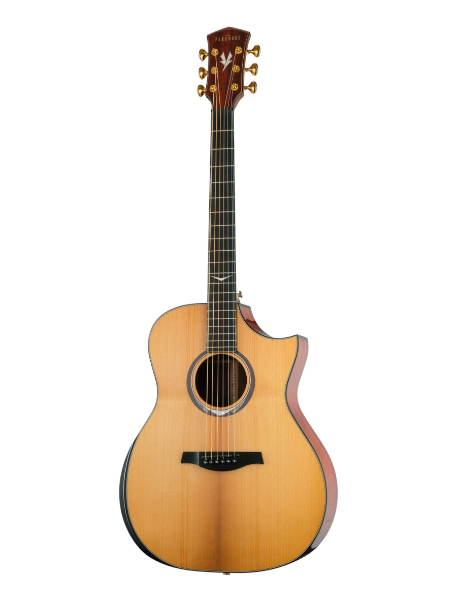 GA980ADK-NAT Электро-акустическая гитара, цвет натуральный, кейс, Parkwood купить в prostore.me