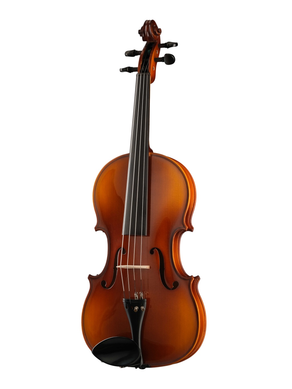 картинка A100-15,5 Rhapsody Student Альт студенческий, Hora от магазина prostore.me