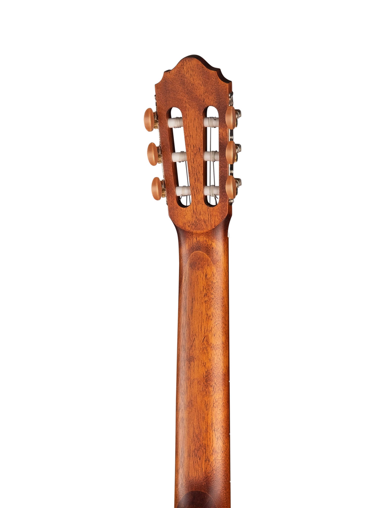 Cort AC120CE-OP Classic Series Классическая гитара со звукоснимателем, с вырезом. купить в prostore.me