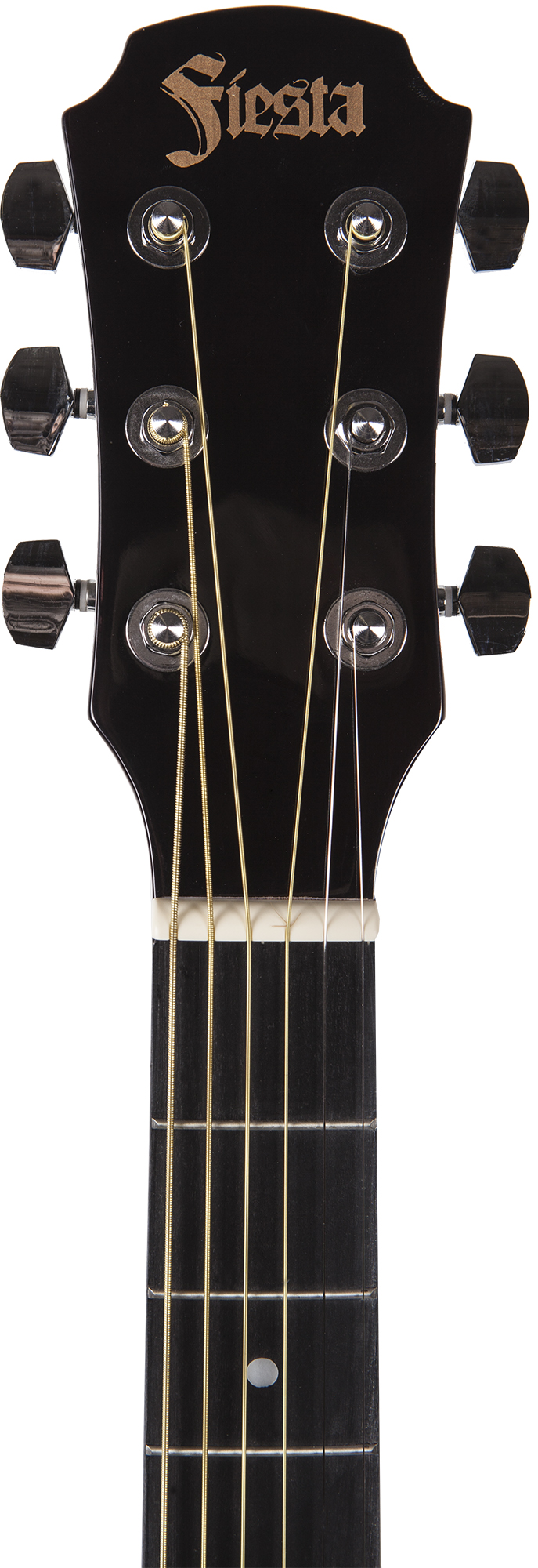 Aria FIESTA FST-300 Гитара акустическая купить в prostore.me