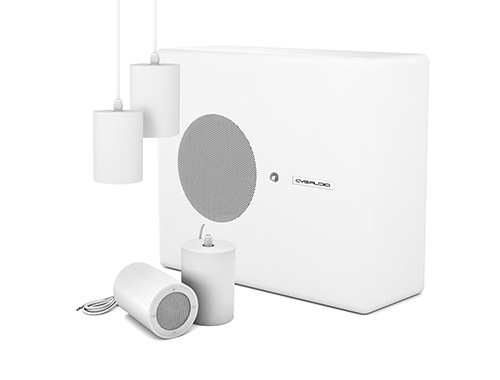 картинка CVGAUDIO SUBSET-W / TUBE 3:8 Профессиональный пассивный комплект из сабвуфера и четырех подвесных АС от магазина prostore.me