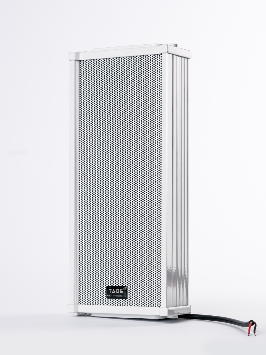 картинка DS-20E Акустическая система, 20Вт, TADS от магазина prostore.me