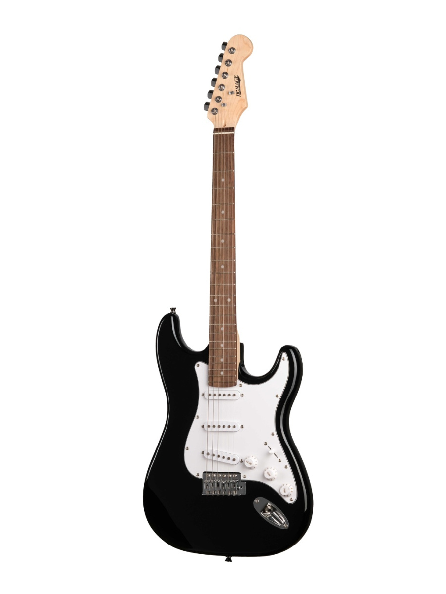 HEG310BK Электрогитара, sss, Homage купить в prostore.me
