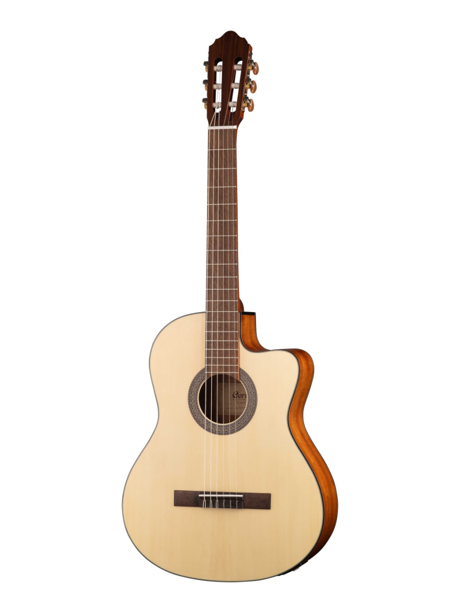 AB850F-BK-BAG Acoustic Bass Series Электро-акустическая бас-гитара, с вырезом, черная, Cort