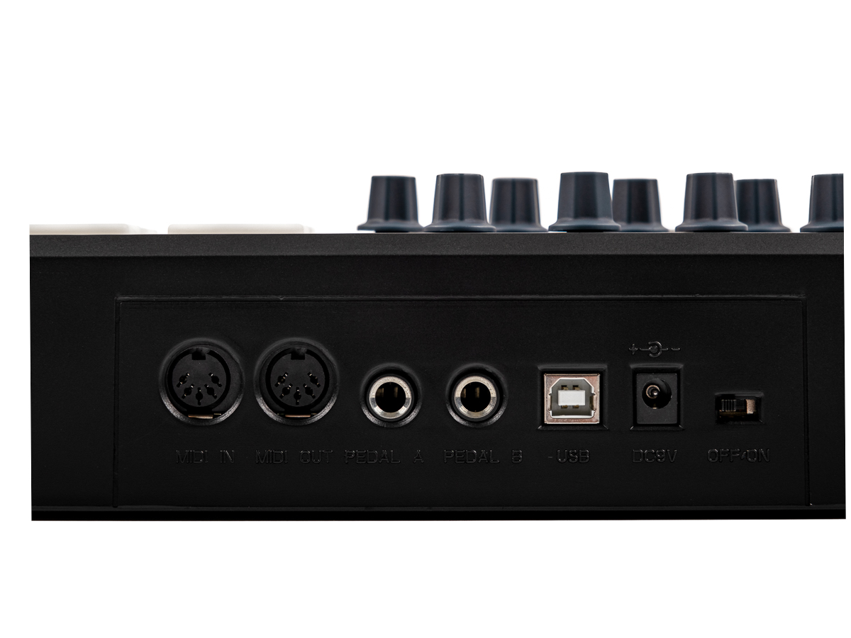 картинка Panda-25C MIDI-контроллер, 25 клавиш, LAudio от магазина prostore.me