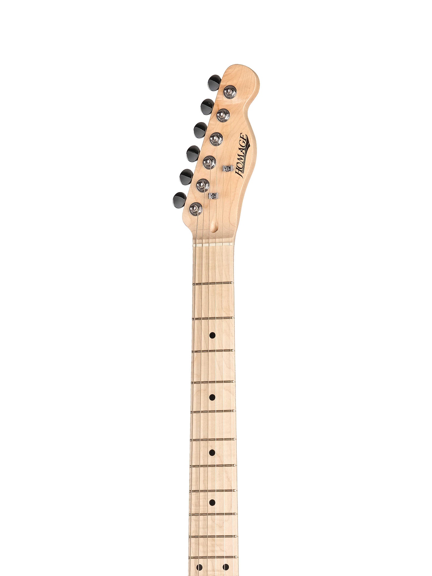 HEG350BK Электрогитара Telecaster SS Homage купить в prostore.me