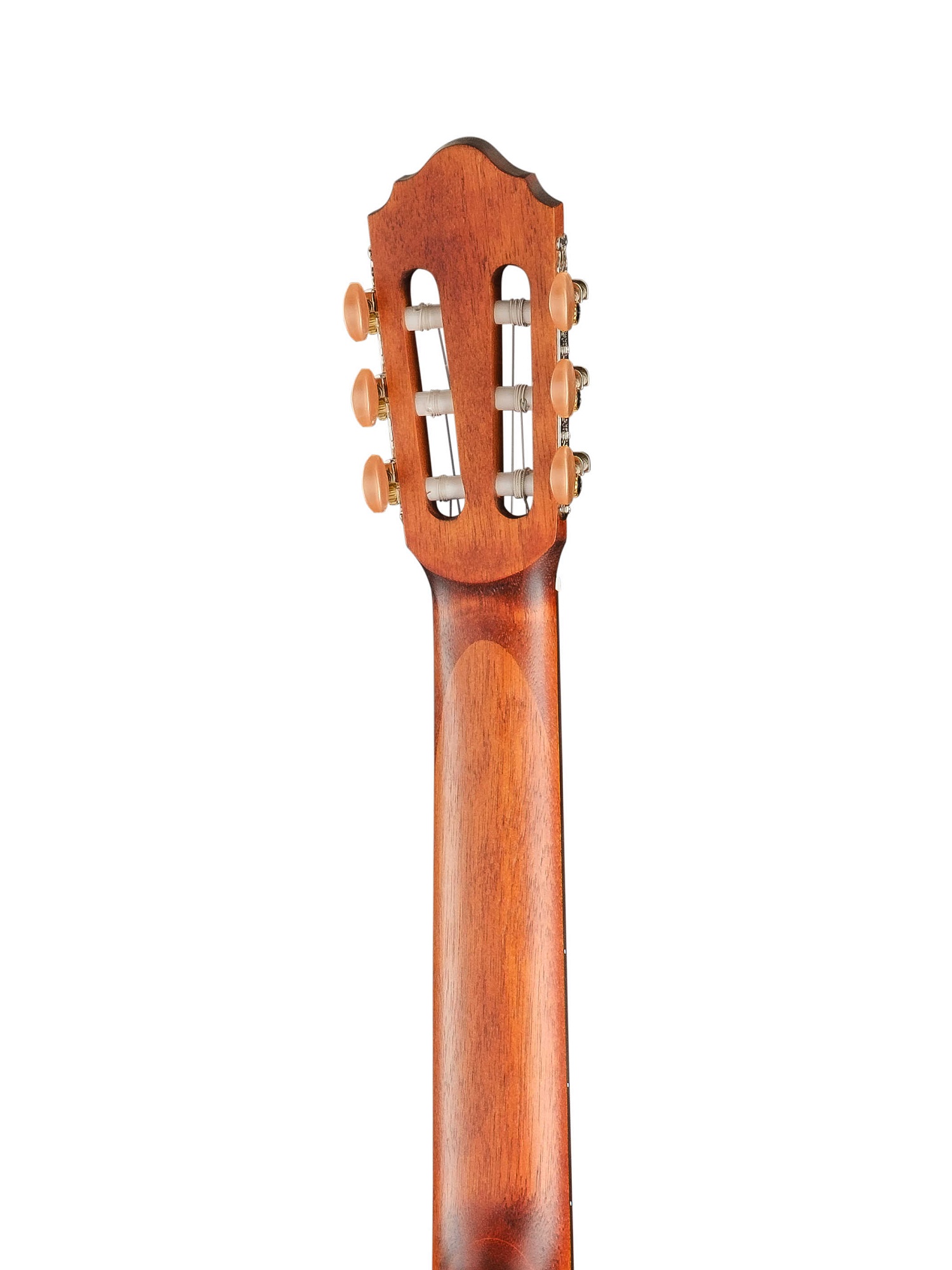 Cort AC200-NAT Classic Series Классическая гитара, массив ели, глянцевая купить в prostore.me