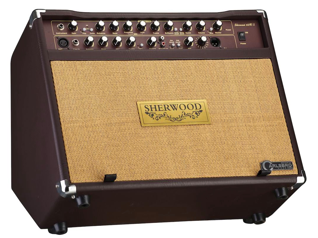 CARLSBRO SHERWOOD 60R Комбо усилитель для акустической гитары и вокала. Усилитель 2х30Вт. Две незави