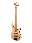 B5-Element-WBAG-OPN Artisan Series Бас-гитара 5-струнная, цвет натуральный, с чехлом, Cort